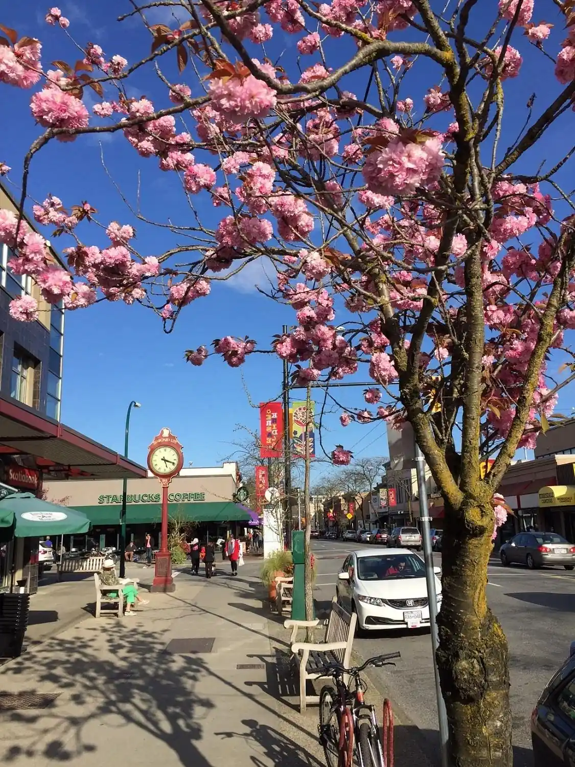 Kerrisdale village streets and walkable neighbourhood character