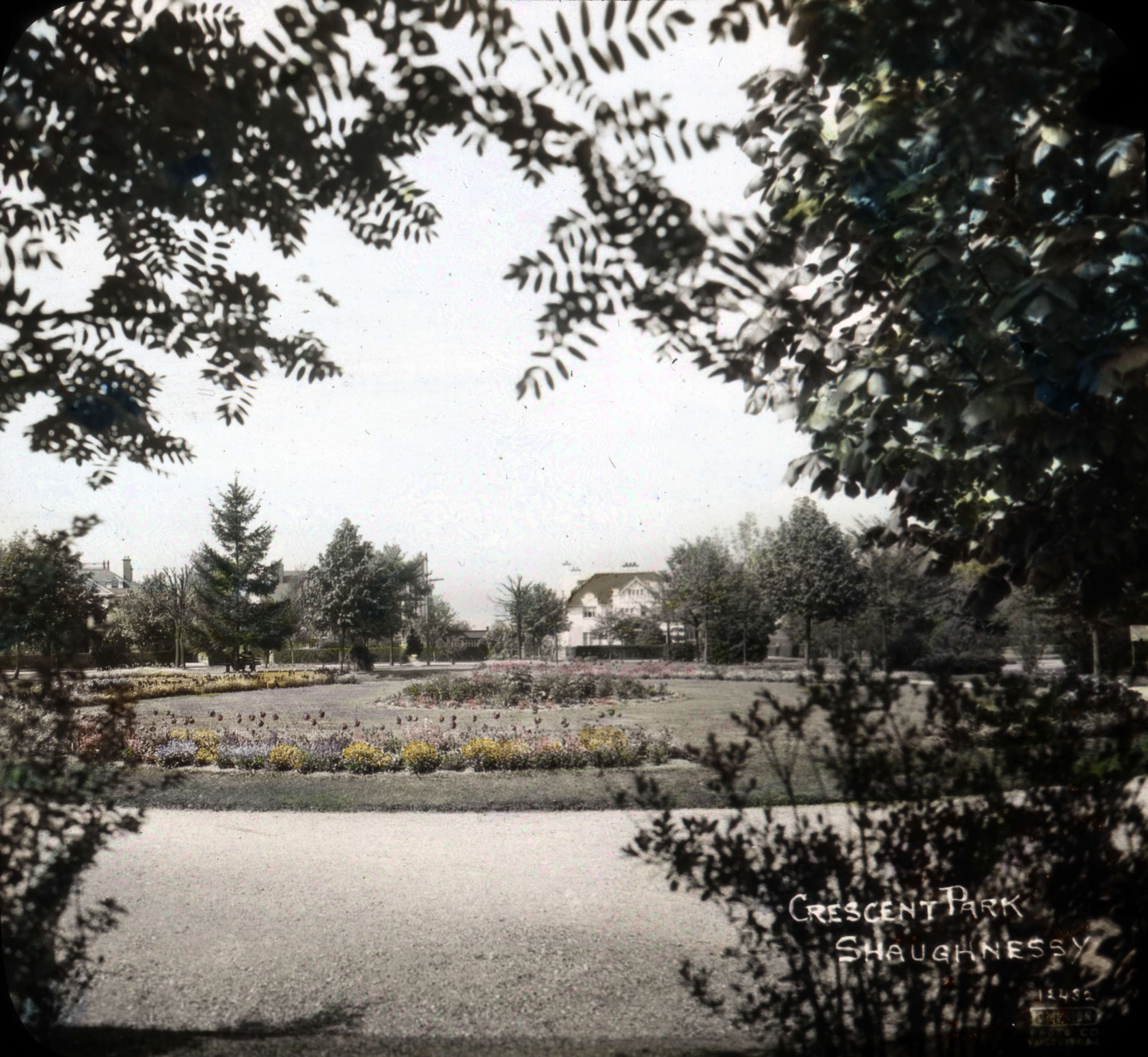 Shaughnessy tree-lined streets, heritage homes, and greenery
