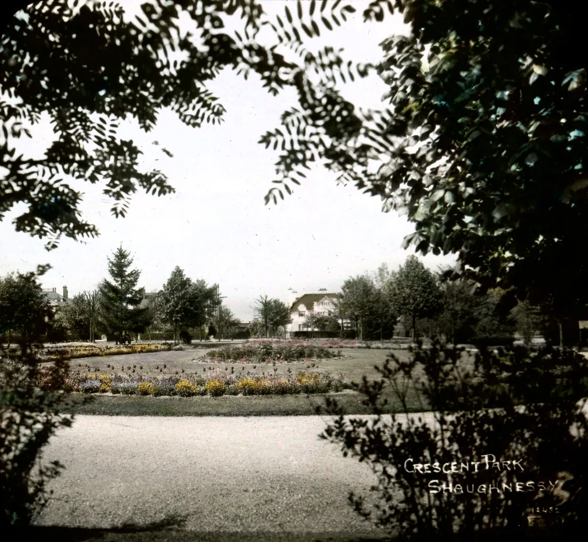 Shaughnessy tree-lined streets, heritage homes, and greenery