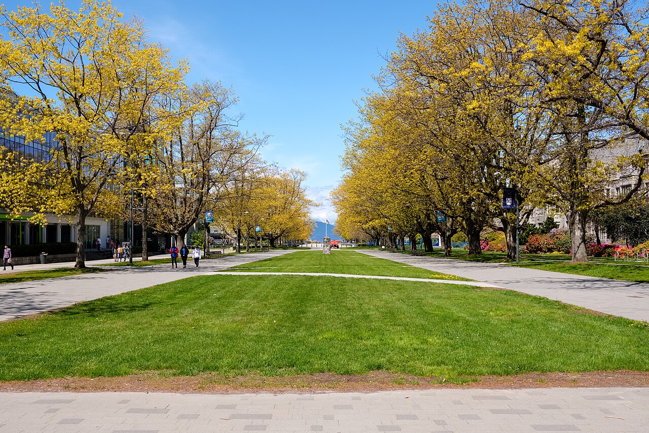 UBC Main Mall, campus trees, and academic buildings at Point Grey