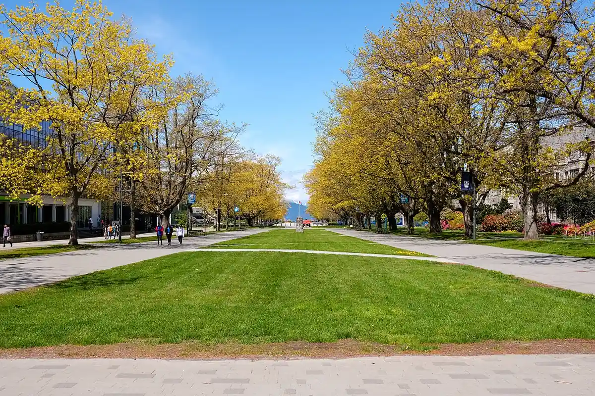 UBC Main Mall, campus trees, and academic buildings at Point Grey